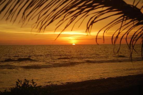 Cardon Adventure Resort Mazatlán Eksteriør bilde